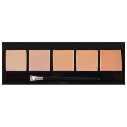 BeautyTreat 2024 Corrective Concealer Palette