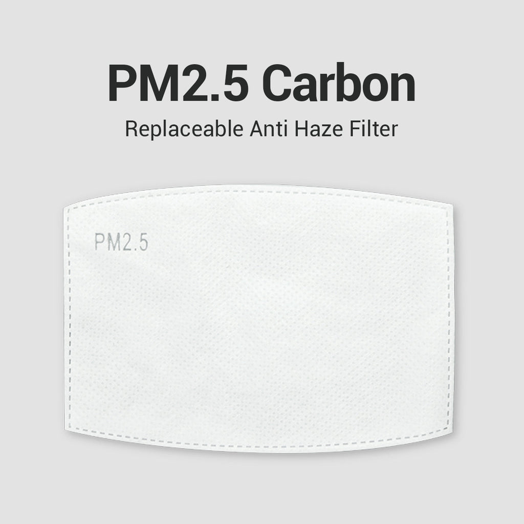 Carbon Filter Replaceable Anti Haze Filter [10pcs] - ikatehouse